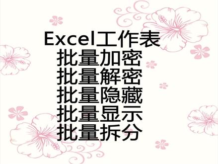 工作表批量管理①批理加密与解密②批量隐藏显示③批量保存为文件 #罗刚君 #E灵 #Excel插件