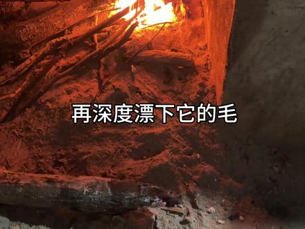 半夜在农村点不到外卖,于是我起来宰了只鸡顿给自己吃!#创作者扶持计划 #我的乡村生活 #乡村生活记录 #这是个真实的事情 #在老家的日子 @抖音创作小助手 @抖音小助手