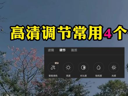 高清调节常用4个参数,快速掌握视频调色技巧 #剪映调色技巧 #剪映调节参数 #剪映调色教程 #剪映高清调色