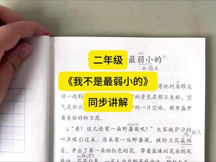 二年级下册语文《我不是最弱小的》同步讲解#二年级 #语文 #同步课 #我不是最弱小的