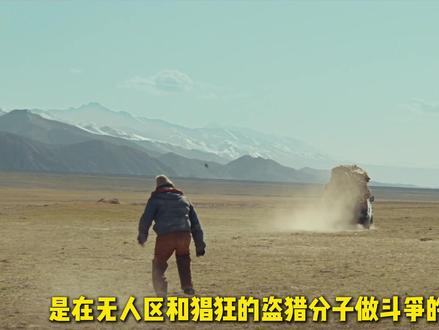 “警察变土匪”?白菊的生命力和攻击性在野蛮生长! #影娱年味不打烊 #影娱热点团 #生命树 #生命树剧情走向上强度 #杨紫