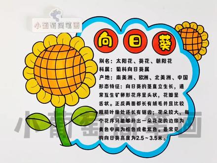 植物名片/植物介绍卡/植物花卡/植物名片之向日葵/植物名片制作/植物名片手抄报/植物名牌手工/《向日葵》植物名牌/植物小报/植物卡片,简单好看,有线稿可打印#植物名片手工制作 #植物名片 #植物手抄报 #植物卡片 #画画