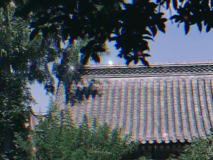 谢征:这和离书你没完没了啊#逐玉#广播剧#谢征#樊长玉 #猫耳FM