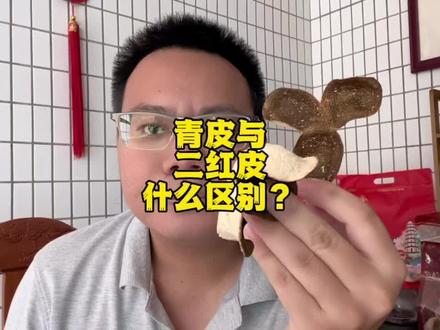 青皮与二红皮什么区别?采摘时间不同,成熟度及口感不同#运气哥新会陈皮 #青皮#二红皮 #陈皮知识
