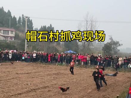安岳 通贤帽石村抓鸡#年 #呆呆 #年味 #抓鸡 #帽石村