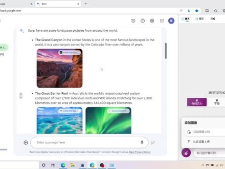 如何上传图片给newbing和bard#人工智能 #bard #newbing