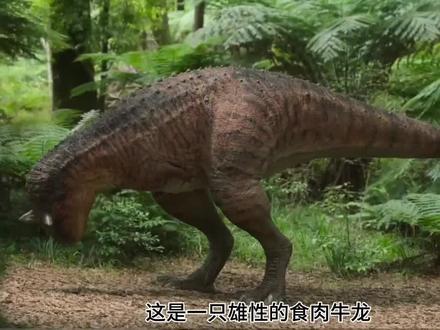 #恐龙世界 #史前生物 #诅咒之岛 食肉牛龙的生活习性,以及恐龙的小手到底有什么作用