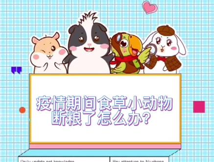 牛宠小课堂:疫情期间食草小动物断粮了怎么办?#兔子 #荷兰猪 #龙猫 #兔兔 #豚鼠