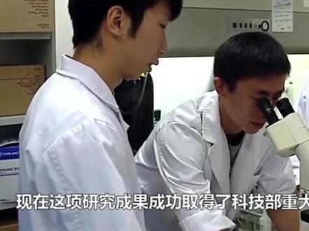 中国研发人工肾脏可以直接代替肾,美国欲花3000万买断 #中国 #美国 #科技 #医学生 #健康 #肾