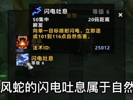 P2猎人宝宝的选择和技能搭配#创作灵感 #魔兽世界怀旧服 #燃烧的远征 #tbc