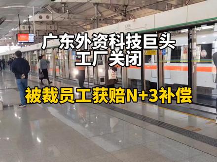 广东外资科技巨头工厂关闭,被裁员获赔N+3补偿。#大学生就业 #裁员 #打工人 #裁员赔偿 #职场那些事