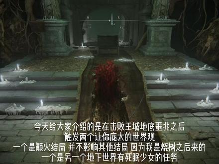 让你的结局多了一个选择#艾尔登法环攻略 #我的游戏日常 #单机游戏