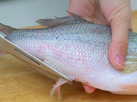 鲈鱼这样冷冻能放更久!!! #冷冻 #鲈鱼 #生活小妙招