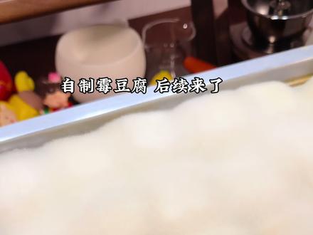 我的毛豆腐很曼妙!发了三天的自制霉豆腐后续来啦 #霉豆腐 #在家自制霉豆腐 #霉豆腐制作 #我的毛豆腐很曼妙 #毛豆腐