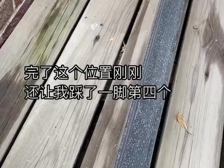 快帮我想想还有啥其他防鸽方法不#洋少琪的大学生活 #酱式vlog