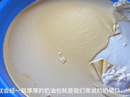 第157集|#奶嚼口 今天给大家展示一下牧民是怎样制作下午茶的 #制作过程 #现挤牛奶 #奶制品