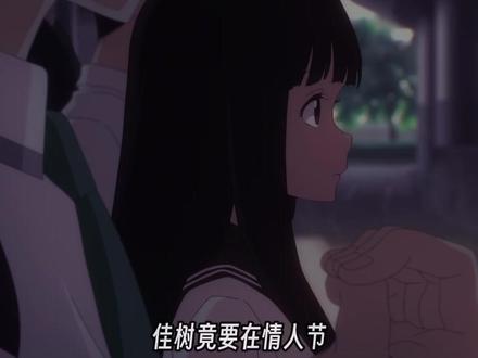败犬女主太多了小说(第五卷)全卷解说!!! #二次元