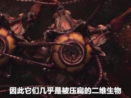 中子星竟出现了生命,诞生了进化速度是人类一百万倍的超级文明 #科幻 #科幻小说 #宇宙 #中子星 #龙蛋