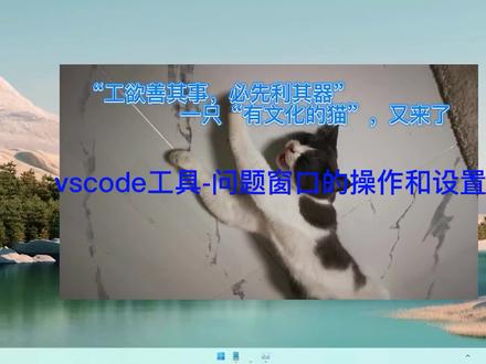 vscode工具-28.问题窗口的操作和设置