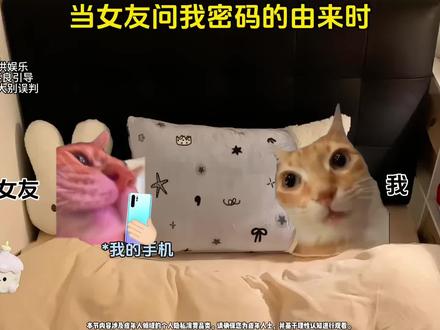 当 女 友问 我密码的由来时#春日花花 #情侣日常 #猫meme #内容过于真实 #玩梗