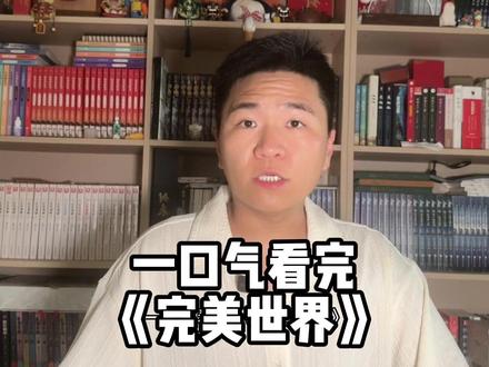 完美世界到底讲了什么故事?一口气看完完美世界 #小说