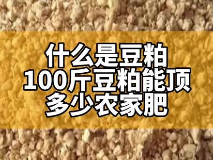 #豆粕 #豆粕发酵有机肥 100斤豆粕订多少农家肥?怎么发酵自制有机液体肥料?