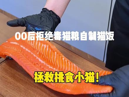 这口猫饭真的会被小猫咪爱上的~#猫饭#猫咪#猫饭制作 #科学养宠攻略 #宠物鲜食