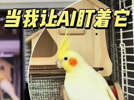 当我让AI帮看着鹦鹉不让它飞出来…结果你肯定想不到…
#豆包我可没惹你 #让AI看着宠物别吃零食 #鹦鹉 #手养鹦鹉 #AI