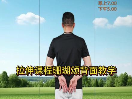 拉伸课程珊瑚颂背面教学