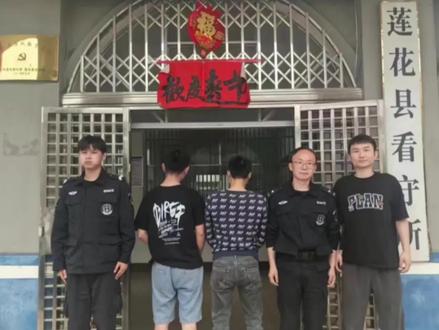 利用运费险狂薅100余万!已被刑拘! #江西萍乡