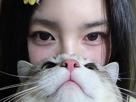 豆包你还是太权威了!好有爱好喜欢!我们是天下第一好!小猫挡脸照片ai指令教程来了! 小猫挡脸拍照 #小猫挡脸照指令#一种很新的宠物挡脸合照#宠物合照 #豆包ai #豆包P图已经nextlevel了 小猫挡脸照片 和猫猫贴贴拍眼睛合照 和小猫合照ai口令豆包 人猫合照ai口令 猫咪挡脸合照ai指令 小猫挡脸照豆包指令 和宠物挡脸拍照指令 宠物挡脸合照ai指令 小猫挡脸ai指令豆包 小猫挡脸ai指令 小猫挡脸照豆包指令 和猫咪合照 和小猫合照 猫咪自拍 宠物挡脸合照 宠物挡脸合照ai教程 怎么和猫咪拍照 猫咪和主人拍照教程 怎么跟猫的眼睛合照