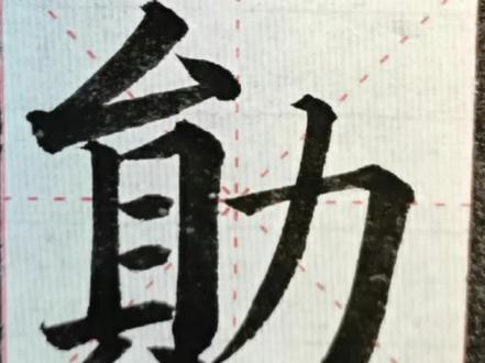 #创作灵感 第19字《勋》#毛笔楷书教程#楷书#颜体#多宝塔#坚持#学习#新手#小朋友@抖音小助手