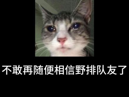 三角洲单排玩家是最需要关心的一群人 #三角洲行动 #三角洲猛攻 #三角洲搭子 #三角洲固排 #三角洲跑刀