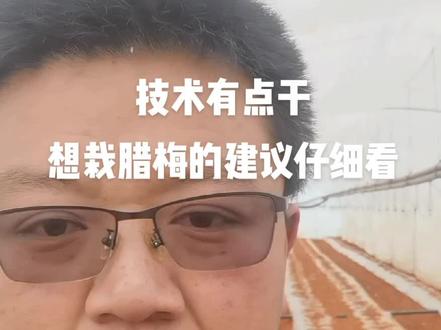 澳洲腊梅栽培技术分享,技术有点干,想栽腊梅的建议仔细看,供参考#种子种苗 #初芽农业 #农业种植 #种苗培育 #抖音助农 #育苗技术 #现代农业 #一份耕耘一份收获 #农业 #田间地头