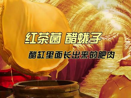 #东方滋养传承千年 #记忆中的味道 #红茶菌 #醋蛾子 红茶菌有名醋蛾子、胃宝、海宝、康普茶,用茶水加糖发酵,一个星期后就可以喝上酸酸甜甜的没有科技狠货的自酿健康饮料了,适合家庭培养,制作方法简单。