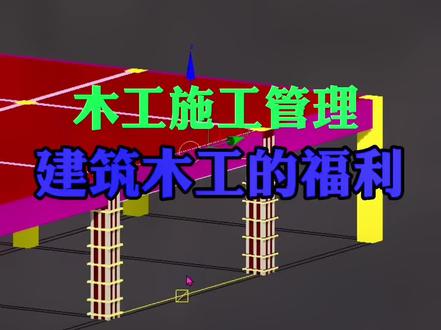 建筑木工施工与管理技术#建筑木工 #cad画图 #三维建模