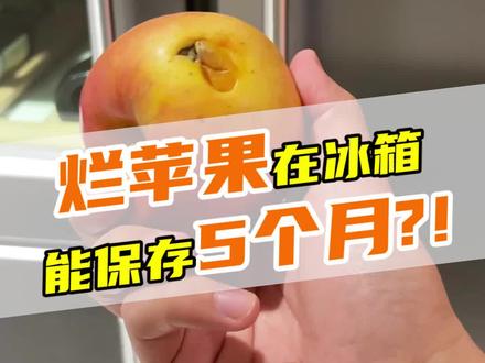 烂苹果放冰箱到底能保存多久?我们一起看看!#家电 #冰箱 #厨房装修