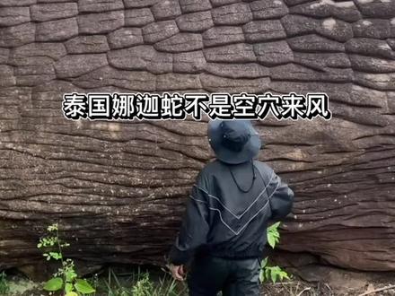 泰国娜迦蛇不是空穴来风 ~(¯▽¯~)~#历史古迹 #大自然