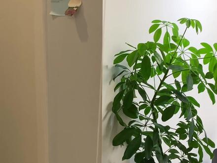 #手工diy 瓶盖溜溜球 简单又好玩#亲子手工 #diy玩具 #小孩的玩具 #幼儿园亲子手工