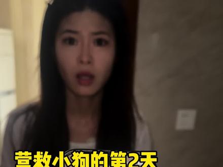 这个偷狗哥到底把我小狗弄哪里去了啊😭😭😭#勋氏vlog #剧情反转