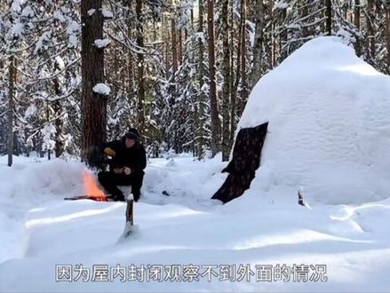 凯撒在雪中组建雪屋 话说在雪屋中点🔥真的不会化吗 #荒野建造 #荒野求生 #野外建造 #野外生存