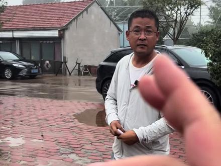 巴哥这个狗有什么优缺点#巴哥 #巴哥犬