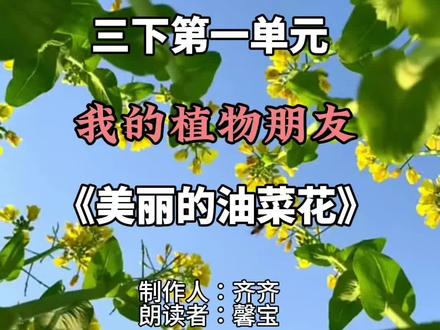 #三年级 #同步作文 #三年级下册语文 第一单元习作〈我的植物朋友〉——美丽的油菜花。
