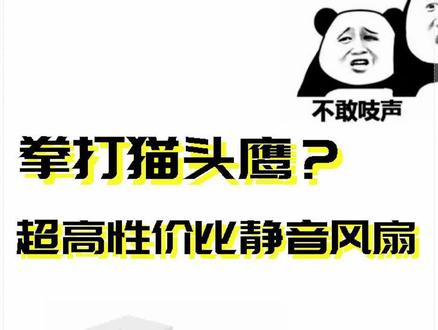 拳打猫头鹰?超高性价比静音风扇#他来了他来了他带着疾风走来了
