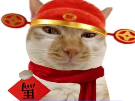 闺蜜!快收好这份红包攻略! #内娱 #红包 #陈哲远 #张凌赫 #陈都灵