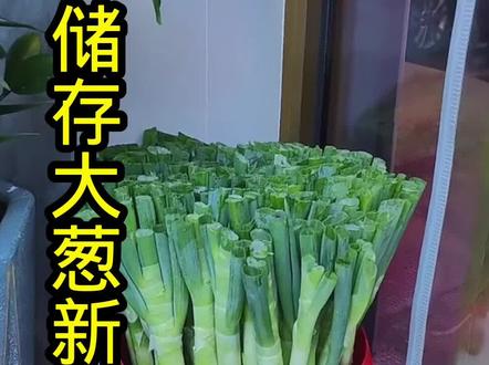 储存大葱最好的方法#助力三农