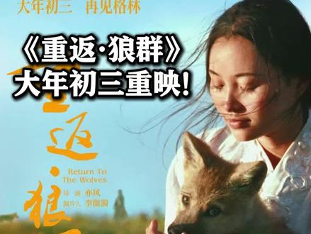《重返·狼群》大年初三重映! "格林妈妈"手写长信被泪水打湿 再次委婉确认#格林已离世 呼吁大家与动物保持远观距离 #重返狼群 #格林