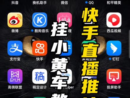快手也可以用,教程来喽!#教程 #虚拟直播间 #绿幕直播