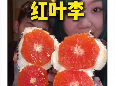 东站爆火的风物料理红叶李也出活动了!69折!全场通用!快囤#东站万象汇 #漂亮饭 #下午茶 #治愈系甜品分享 #杭州东站美食