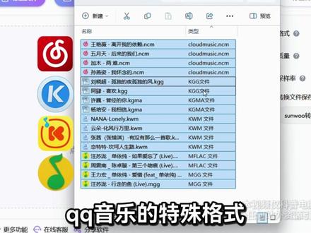 #实用软件 拒绝废话-实用电脑软件推荐
#电脑软件 #potplayer #geek #Bandizip